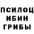Галлюциногенные грибы прущие грибы Lisa Hutchinson