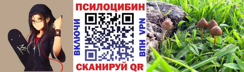 Галлюциногенные грибы ЛСД KRAKEN рабочий сайт Шагонар